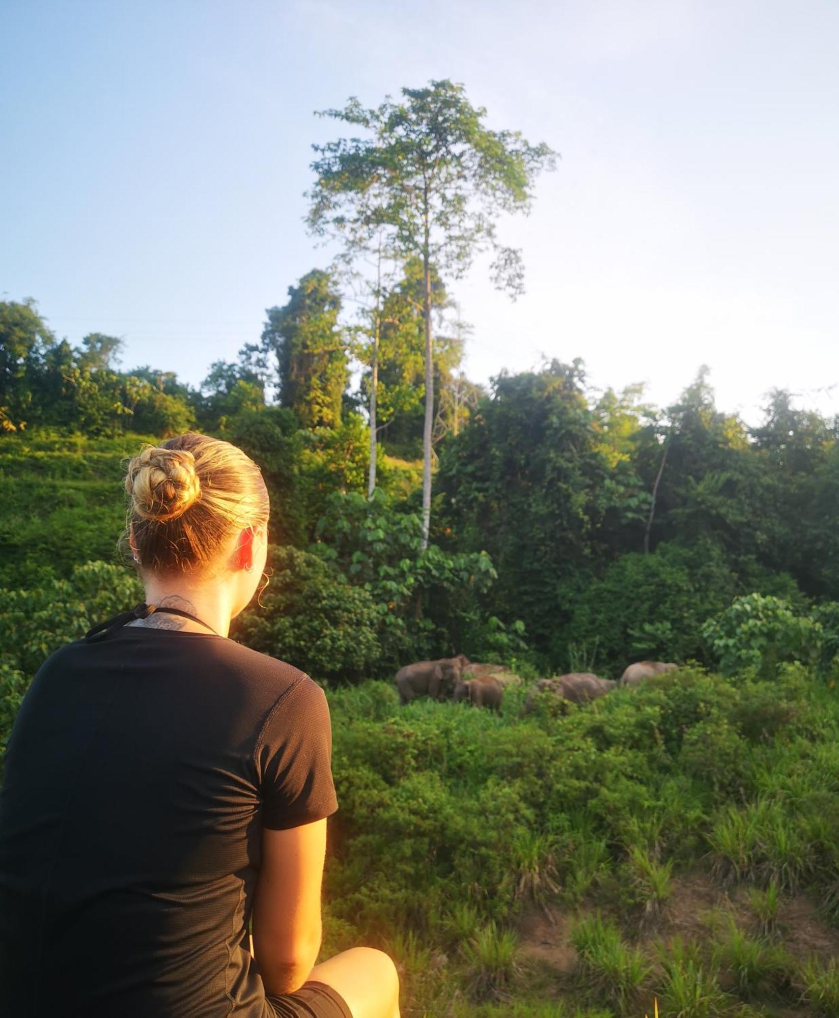 Wild Lodge Taman Negara Kuala Tahan Bagian luar foto